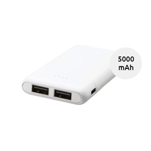 Powerbank in ABS con doppia uscita e porta USB-C da 5000mAh fornito in scatola regalo