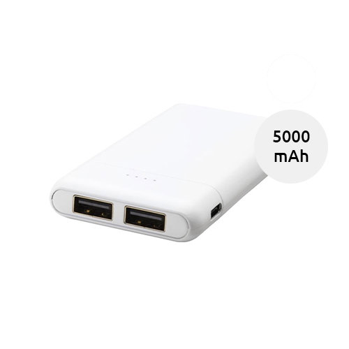 Power bank in ABS con doppia uscita e porta USB-C da 5000mAh fornito in scatola regalo