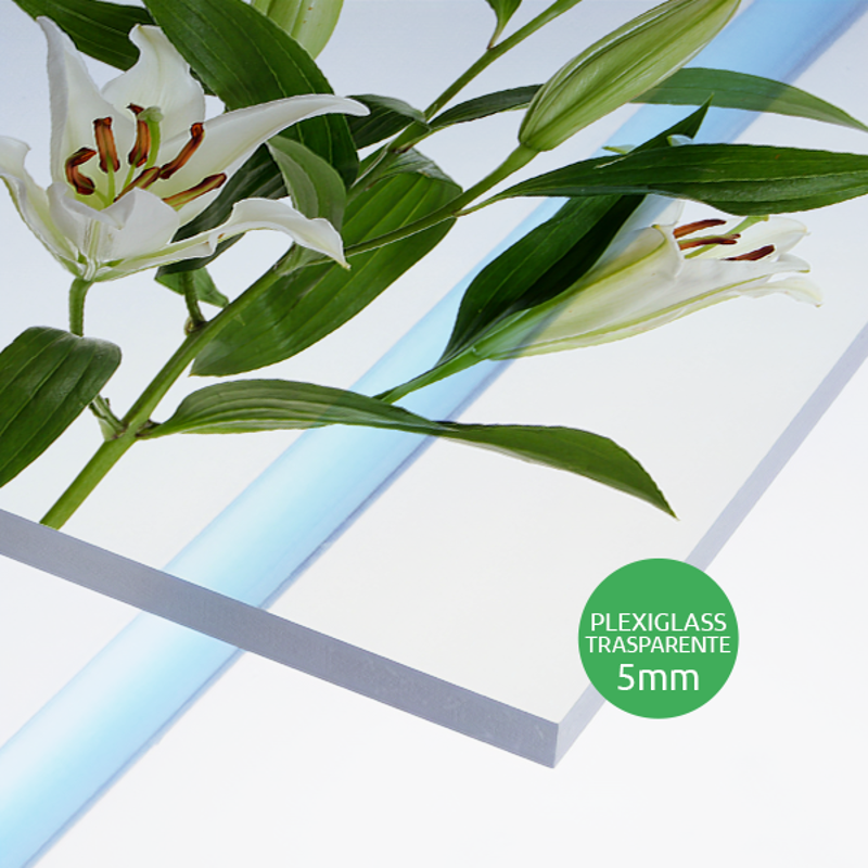 Pannello rigido in plexiglass trasparente spessore 5mm. Possibilità di richiedere anche il progetto grafico