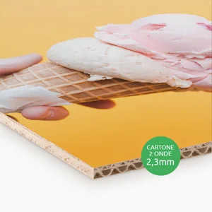 Pannello rigido cartone due onde spessore 2,3mm. Possibilità di richiedere anche il progetto grafico