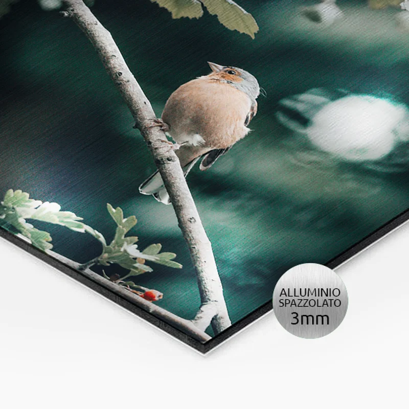 Pannello rigido alluminio spazzolato spessore 3mm. Possibilità di richiedere anche il progetto grafico