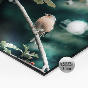 Supporto rigido alluminio spazzolato 3mm