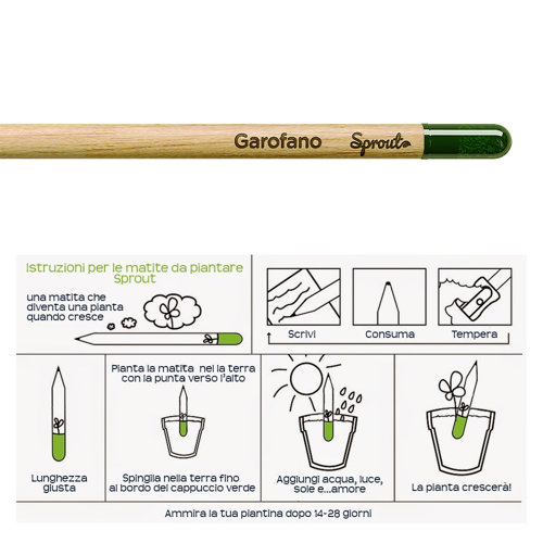 Matita Sprout in Legno Sostenibile Piantabile con Semi con Stampa Inclusa