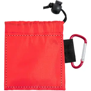 Lato posteriore dell'astuccio