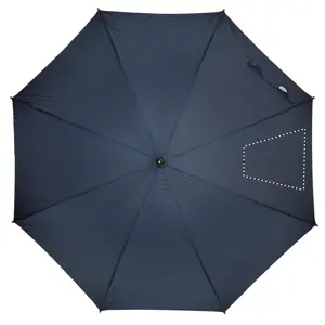 SEG 4