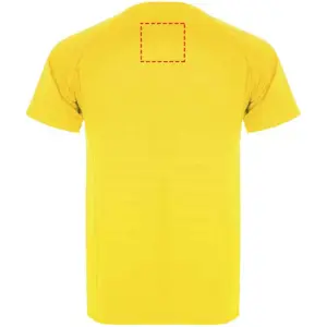 Parte superiore retro