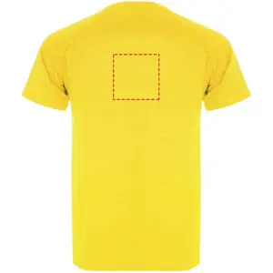 Parte alta sul retro