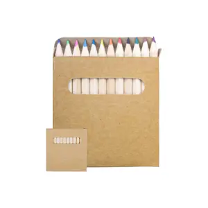 Set da 12 matite colorate