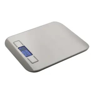 Bialncia da cucina digitale in acciaio inox