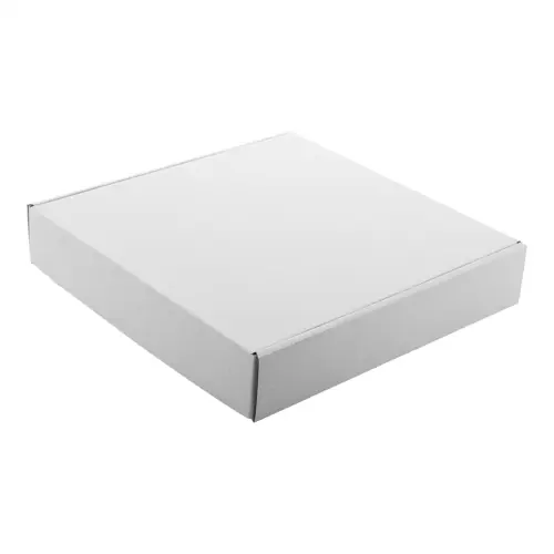 Scatola Postale M Bassa con striscia auto sigillante 258×245×46mm