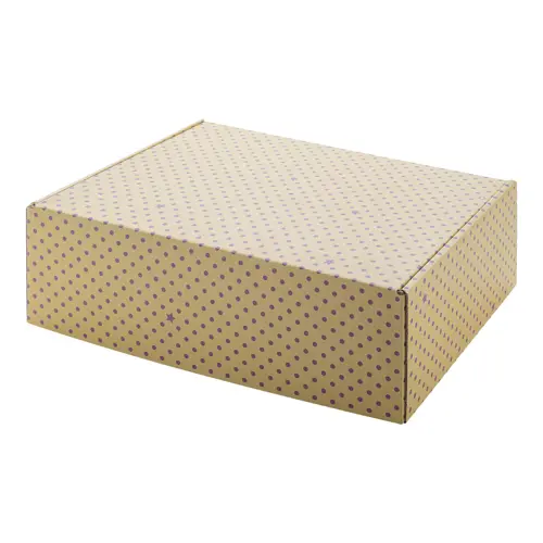 Scatola Postale L Alta con striscia auto sigillante 300×200×95mm