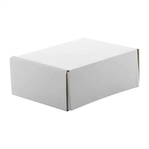 Scatola Postale L Alta con striscia auto sigillante 300×200×95mm