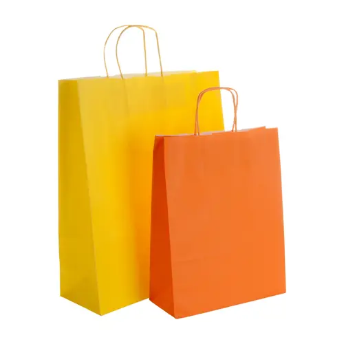 Shopper in Carta disponibile in vari colori formato medio da 100gr 24X31X10cm