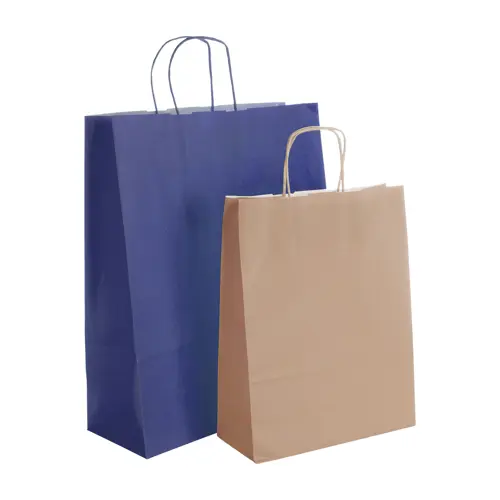 Shopper in Carta disponibile in vari colori formato medio da 100gr 24X31X10cm