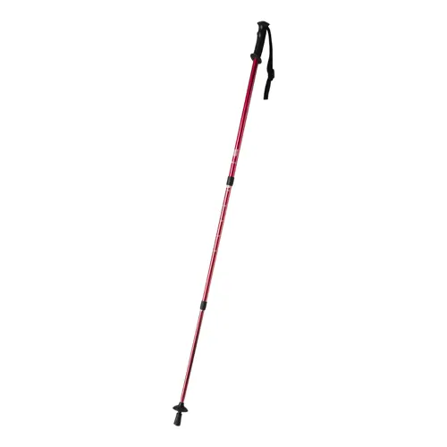 Bastone trekking nordico