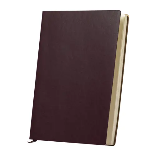 Block notes A5 con copertina in morbida pelle PU e 100 fogli a righe