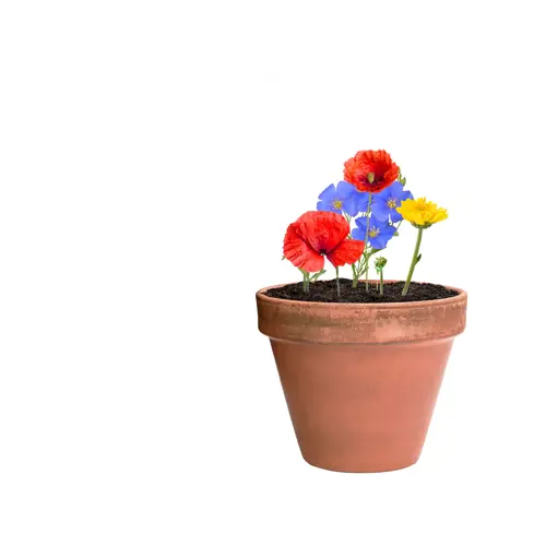 Sfera piantumabile con semi di fiori selvatici in un involucro di carta riciclata