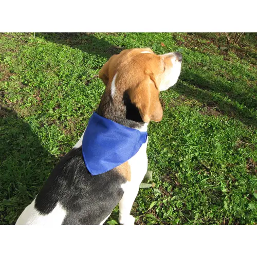 Collare per cani in poliestere 