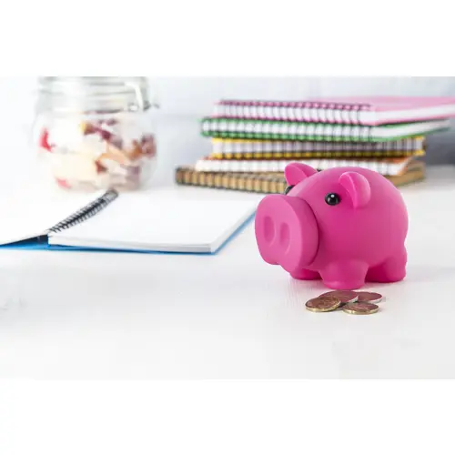 Salvadanaio a forma di maialino con naso smontabile