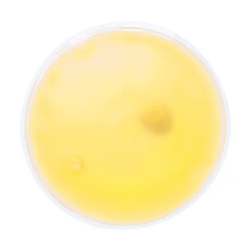 Cuscino termico rotondo