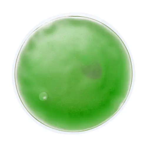 Cuscino termico rotondo