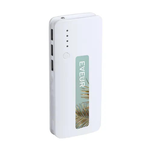 Power bank in plastica e finiture colorate con torcia e indicatore della carica a LED da 10000mAh
