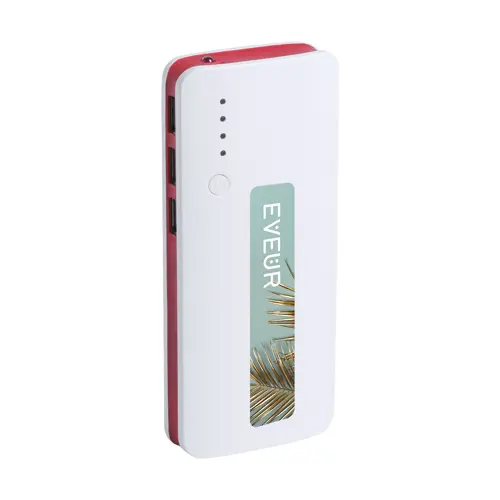 Power bank in plastica e finiture colorate con torcia e indicatore della carica a LED da 10000mAh