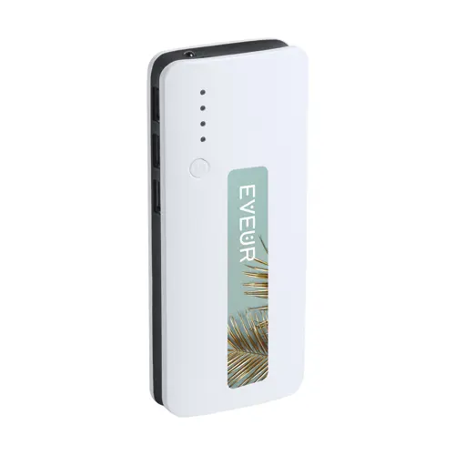 Power bank in plastica e finiture colorate con torcia e indicatore della carica a LED da 10000mAh