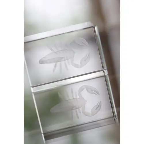 Trofeo in vetro rettangolare 40×40×60mm