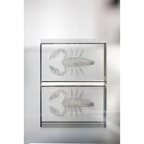 Trofeo in vetro rettangolare 40×40×60mm