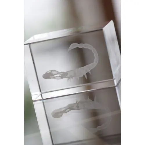 Trofeo in vetro rettangolare 40×40×60mm