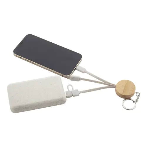 Portachiavi in bambù con cavi in plastica ecologica con multiprese USB e USB-C e micro USB e Lightning