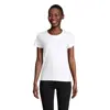 T-shirt da donna colori assortiti a girocollo taglio aderente 100% cotone biologico 175gr