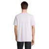T-shirt da uomo colori assortiti a girocollo taglio moderno 100% cotone organico pettinato 175gr