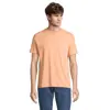 T-shirt da uomo colori assortiti a girocollo taglio moderno 100% cotone organico pettinato 175gr