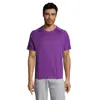 T-shirt da uomo sportiva colori assortiti a girocollo con maniche taglio raglan in poliestere traspirante 140gr