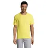 T-shirt da uomo sportiva colori assortiti a girocollo con maniche taglio raglan in poliestere traspirante 140gr