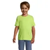 T-shirt da bambino unisex colori assortiti a girocollo taglio regolare 100% cotone 150gr