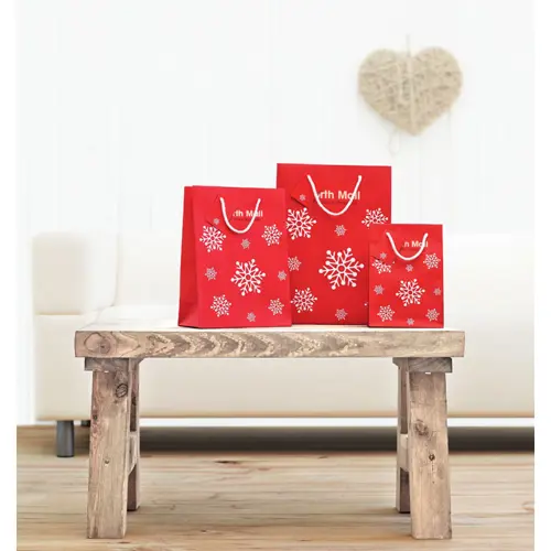 Sacchetto regalo piccolo con stampa fiocchi di neve 16X10X23CM