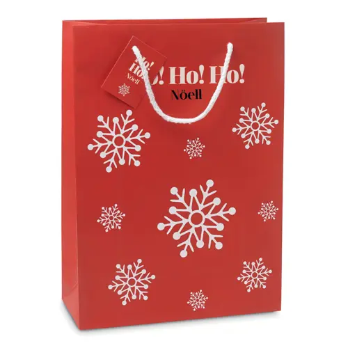 Sacchetto regalo grande con stampa fiocchi di neve 26X11X36CM