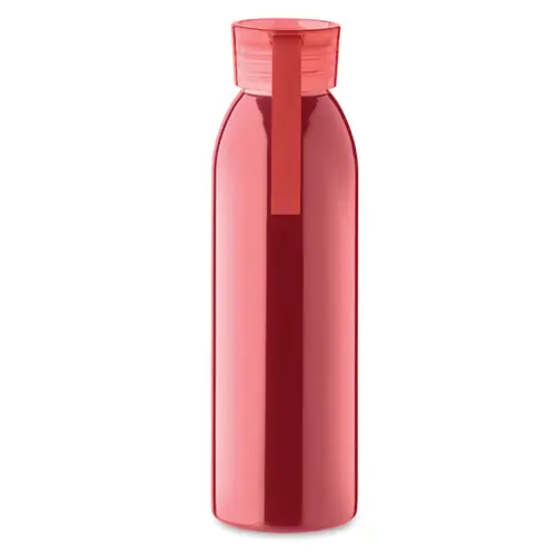 Borraccia in acciaio inox con coperchio in PP e gancio in silicone da 650ml
