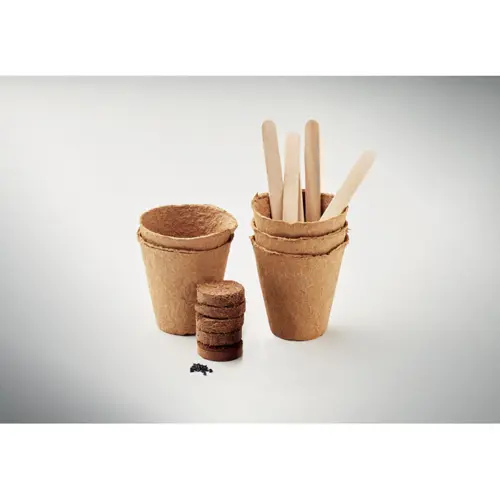 Kit per coltivare fiori include semi di lavanda nontiscordardime girasole margherita bianca e papavero rosso