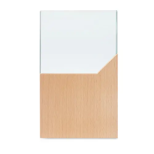 Trofeo o targa in cristallo e legno