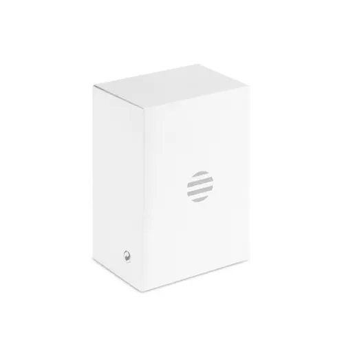 Auricolari TWS con custodia