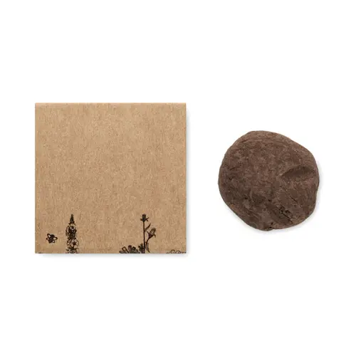 Kit per la coltivazione con semi di fiori d'ape confezionata in scatola di cartone