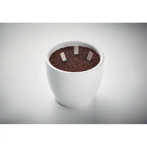 Bastoncini per semi di erba cipollina basilico e prezzemolo