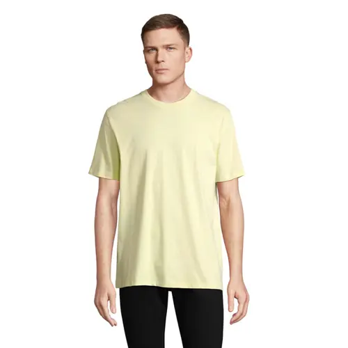 T-shirt da uomo colori assortiti a girocollo taglio moderno 100% cotone organico pettinato 175gr