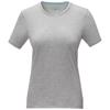 T-shirt da donna colori assortiti a girocollo taglio regolare in cotone biologico ed elastan 200gr