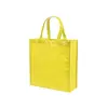 Shopper in TNT laminata a soffietto da 110gr 38x40x12cm