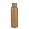Borraccia Sagaform Tekla Push da 500ml in acciaio con tappo a pressione riciclato